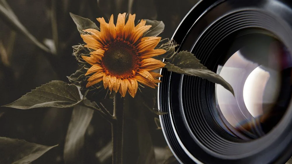 خدمات التصوير